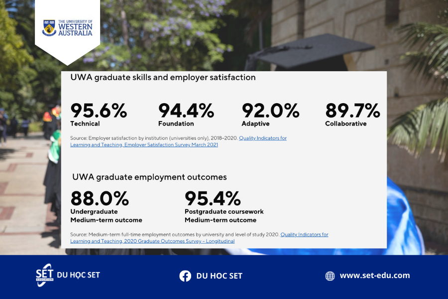 Ảnh bài website 11