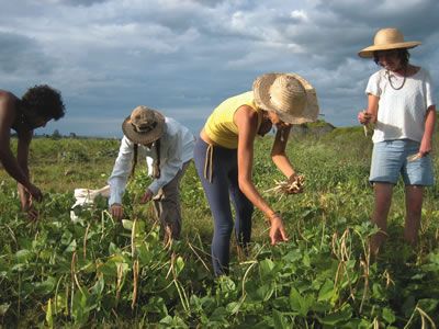 farm work