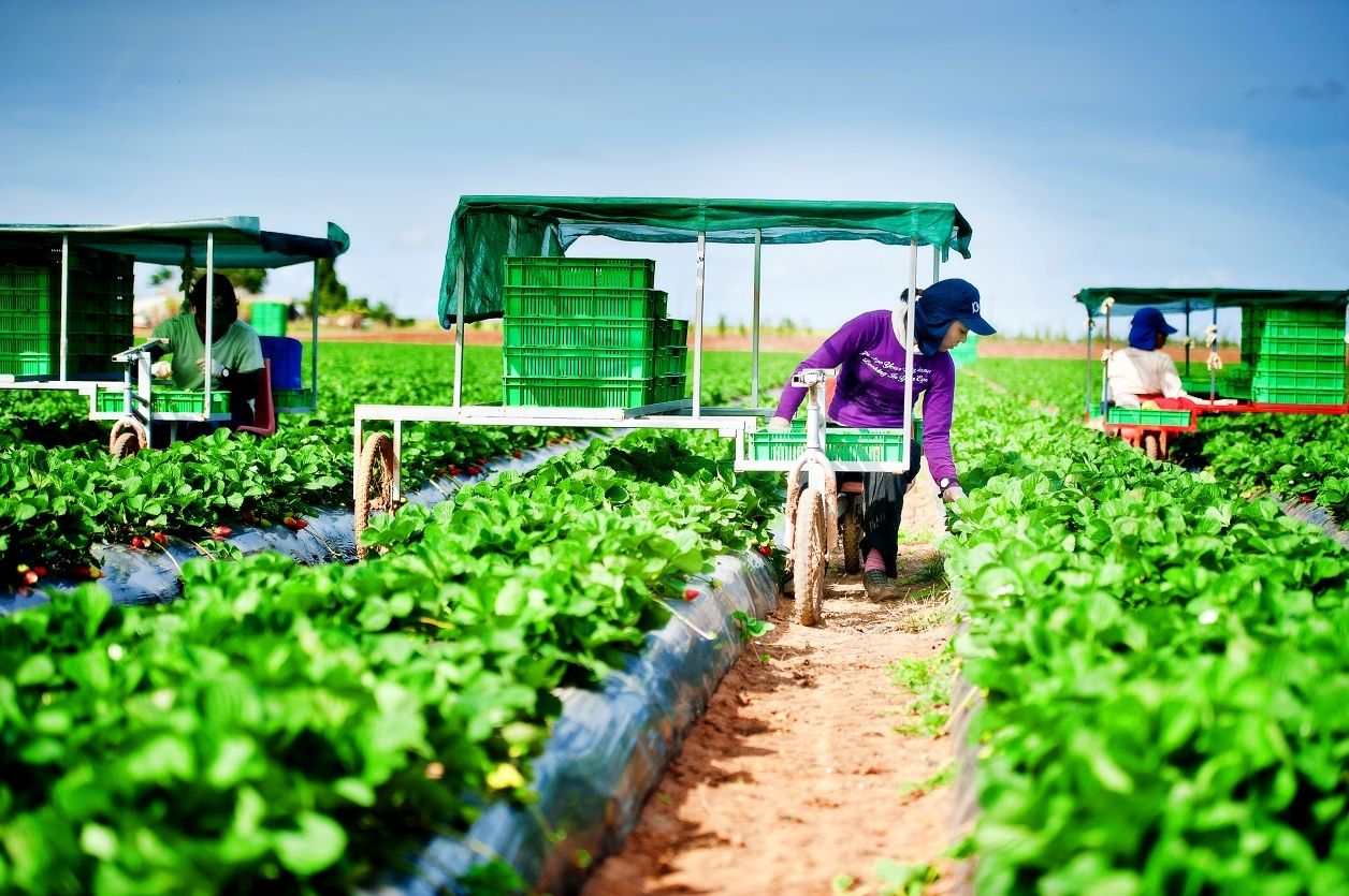 Gợi ý các công việc làm thêm phù hợp cho du học sinh Úc 1