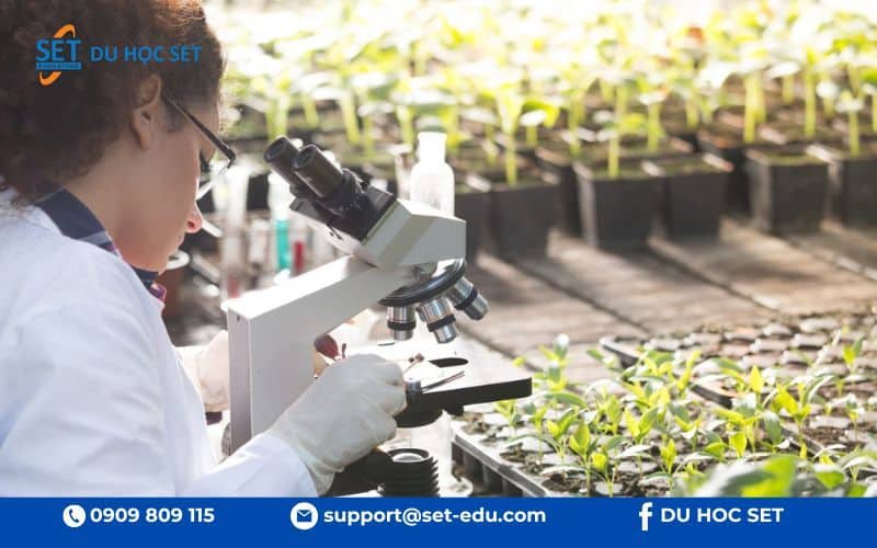 James Cook University dẫn đầu thế giới về đào tạo và nghiên cứu khoa học môi trường