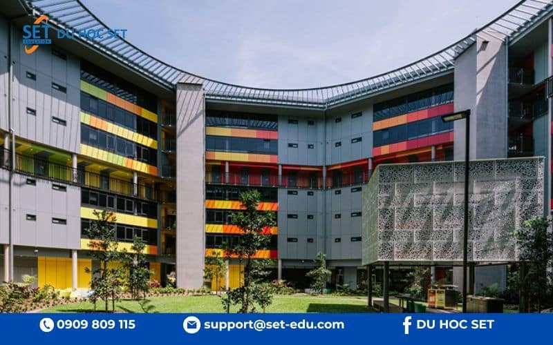 James Cook University Cairns là cơ sở lý tưởng cho nghiên cứu y khoa và sinh học biển