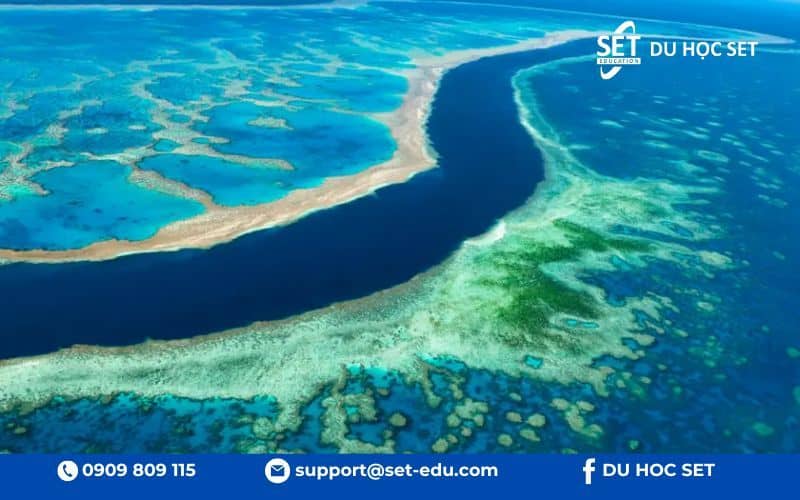 James Cook University nổi bật với nghiên cứu nhiệt đới, sinh thái và khoa học biển