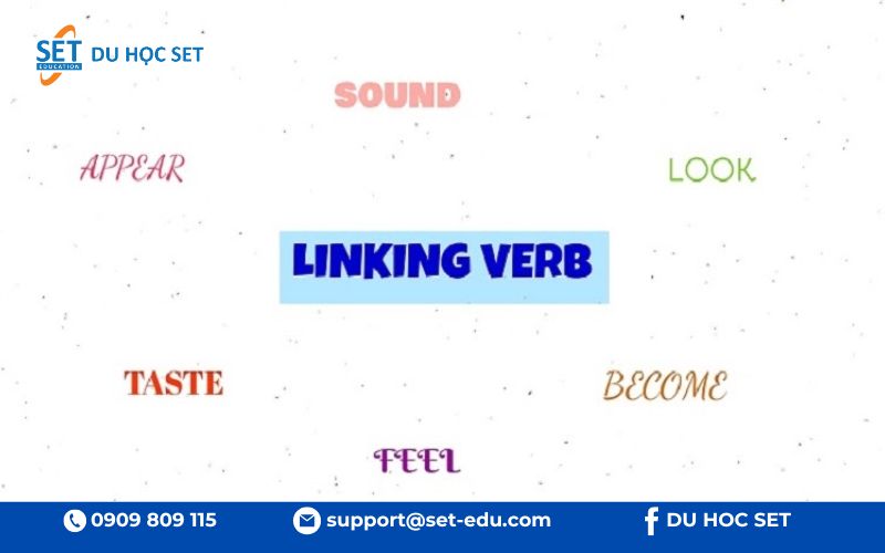 Sau động từ liên kết, tính từ được nối bằng "and" thay vì theo trật tự OSASCOMP