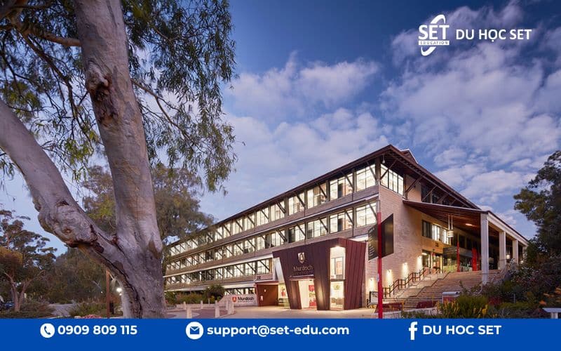 Murdoch University Perth: Chi phí du học và yêu cầu đầu vào 2025