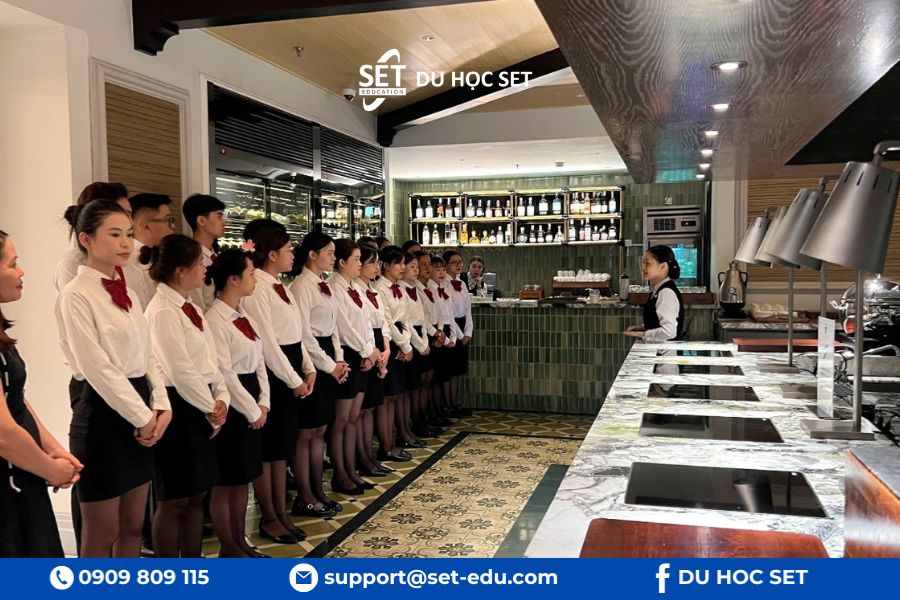 Chuyên ngành hospitality đào tạo quản lý khách sạn nhà hàng và du thuyền