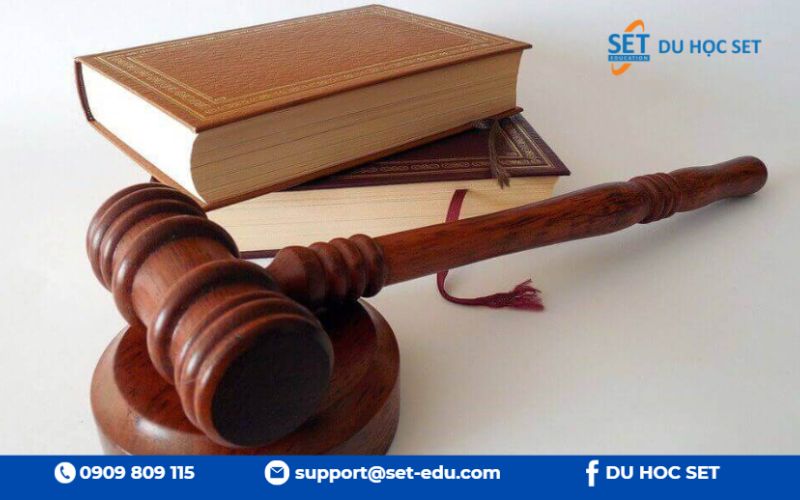 Kinh doanh, Luật và Chính sách công