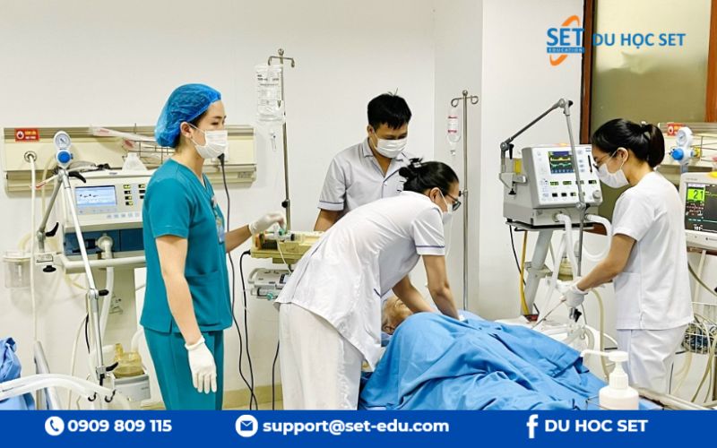 Y tế, Điều dưỡng và Sức khỏe cộng đồng