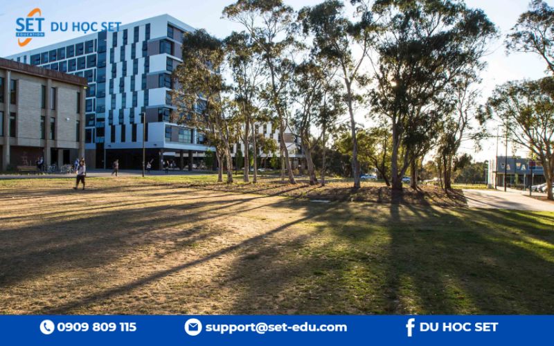 Sinh viên University of Canberra cần thêm phí SSAF, OSHC và visa.