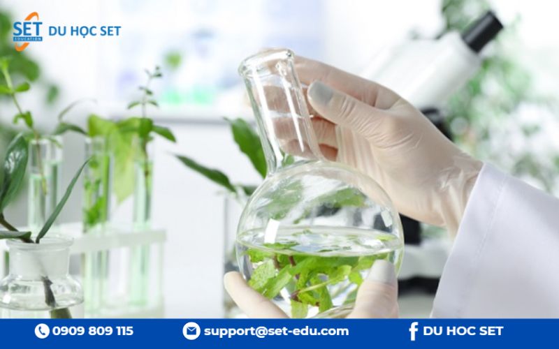 Griffith – Đại học tiên phong Khoa học Môi trường, lợi thế Queensland và ‘phòng thí nghiệm sống’ Great Barrier Reef.