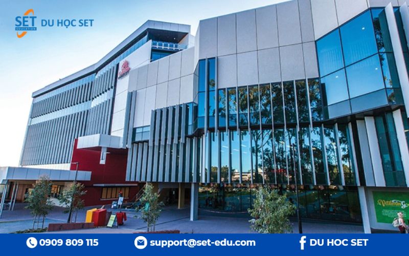 Khám phá Griffith University – Điểm đến hàng đầu tại bang Queensland