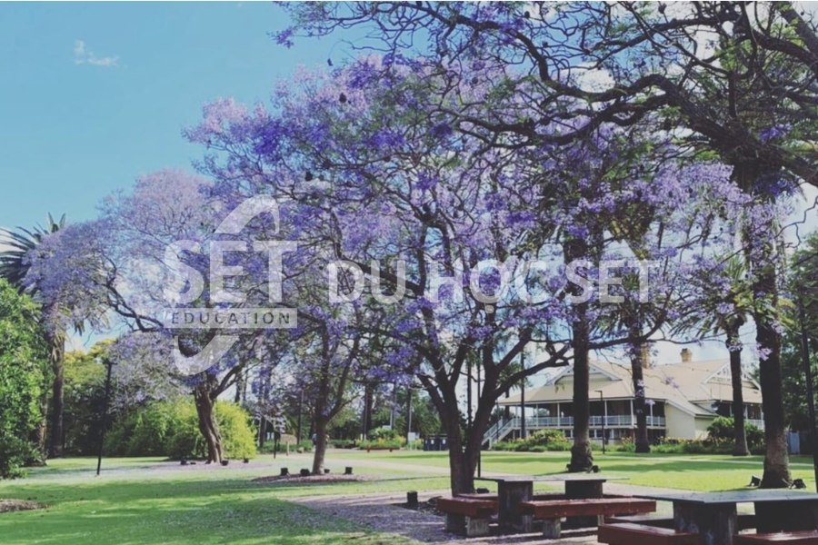 Tin hot!! Đại học Queensland tuyển thẳng học sinh từ các trường THPT tại Việt Nam