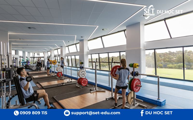 Khoa học Thể thao của Deakin thuộc top 50 thế giới với nhiều cơ hội nghề nghiệp