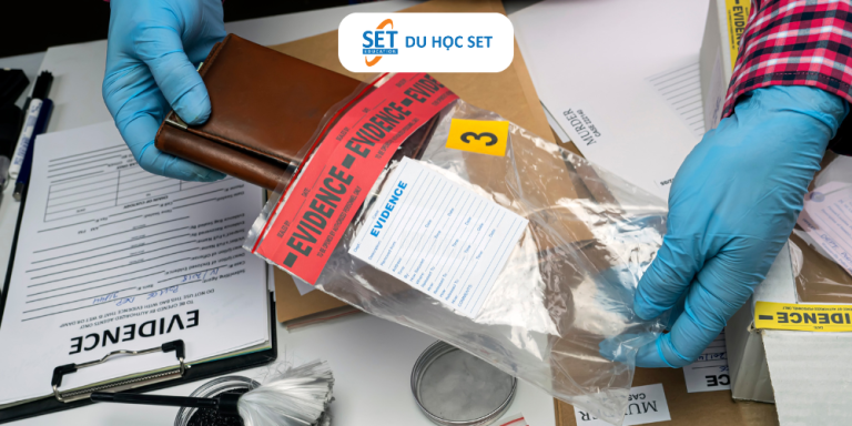 Studying Criminology in Australia – Is It the Right Fit for You?