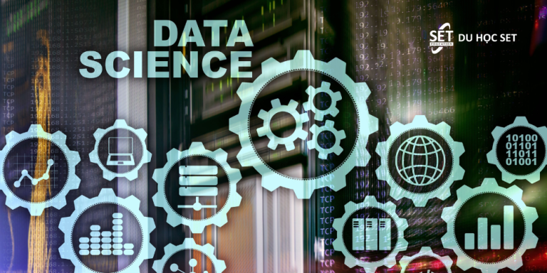 Data Science in Australia 2025: Is It Worth Studying?