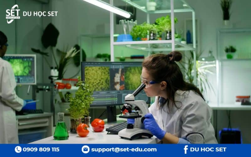 CDU nổi bật về nghiên cứu khoa học môi trường, bảo tồn và phát triển bền vững trong bối cảnh biến đổi khí hậu toàn cầu.