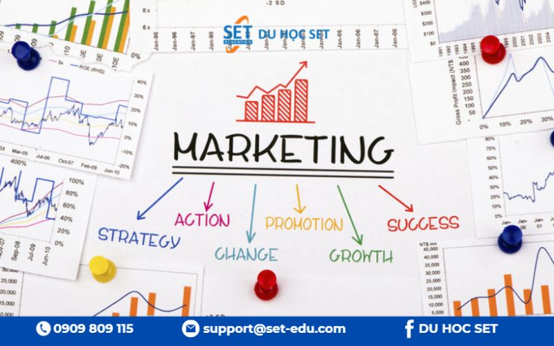 Kinh doanh, Quản trị, Marketing