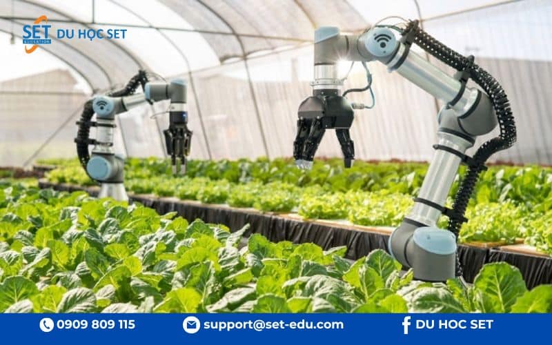 Nông nghiệp tại Úc mang lại cơ hội việc làm ổn định và thu nhập hấp dẫn