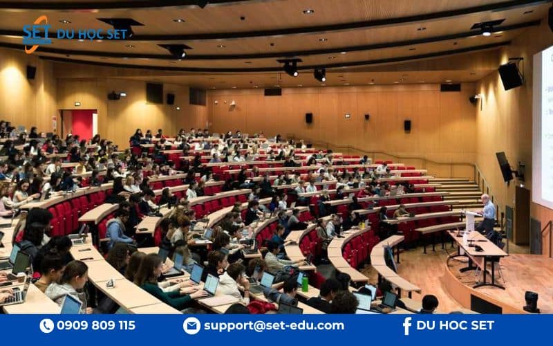 Undergraduate là bậc học đầu tiên, xây dựng nền tảng kiến thức và nghề nghiệp