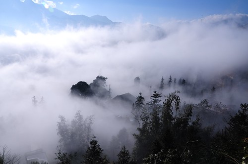 5425151813 017c16bf56