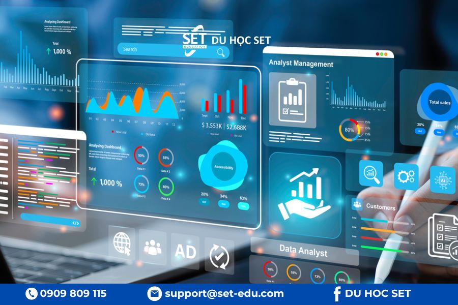 Du học Úc Business Analytics: Những cơ hội vàng cho quản lý doanh nghiệp