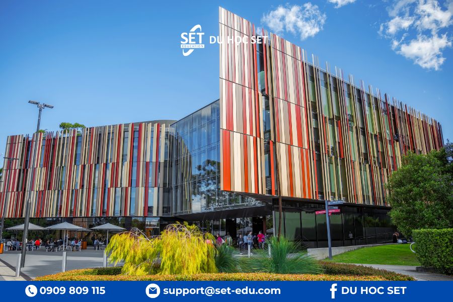 Macquarie University đào tạo Business Analytics linh hoạt và thực tế