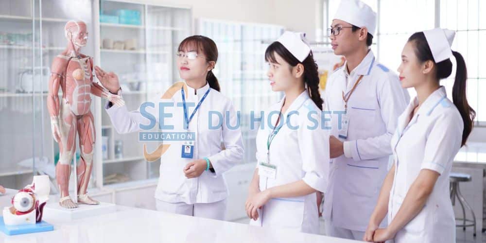 [Tổng hợp] Học bổng du học Úc ngành điều dưỡng chi tiết cho du học sinh