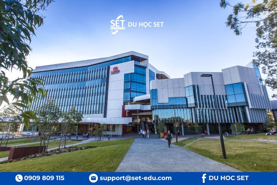 Griffith University nổi bật về điều dưỡng với đào tạo thực tiễn và cơ hội việc làm sau tốt nghiệp