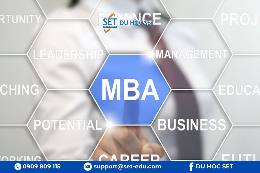 MBA cho chuyên gia, Master of Management cho sinh viên mới