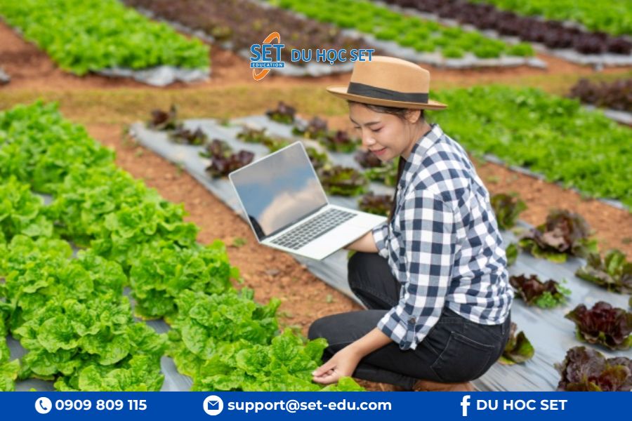 Nghề kỹ sư nông nghiệp tại Úc có nhu cầu cao và cơ hội phát triển lớn