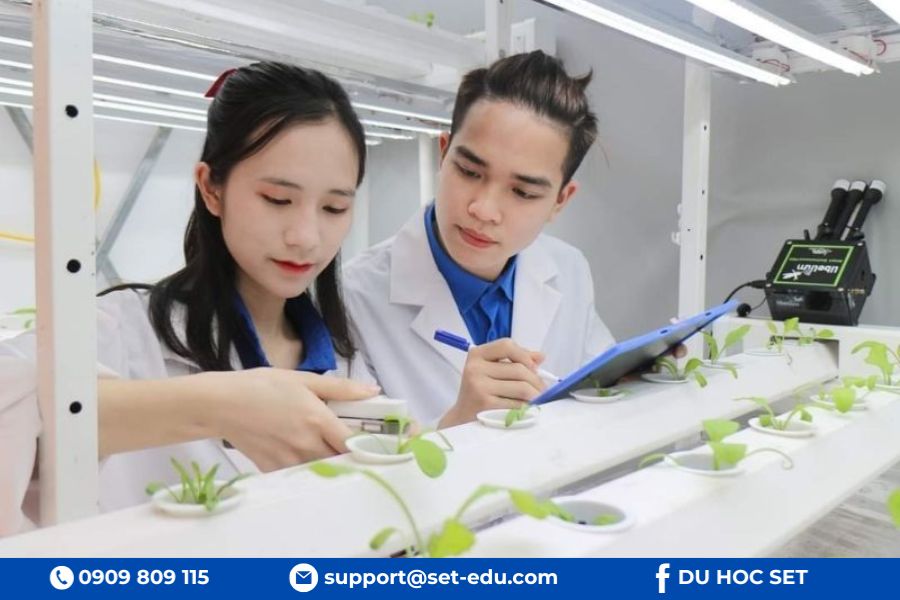 Kỹ sư nông nghiệp ứng dụng công nghệ để nâng cao hiệu quả sản xuất nông nghiệp