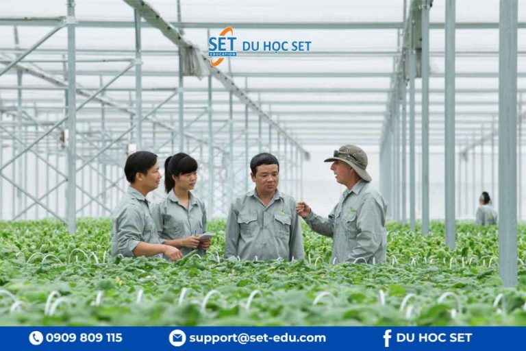 Kỹ sư nông nghiệp là gì? Lộ trình, chi phí du học tại Úc cho người mới 2026