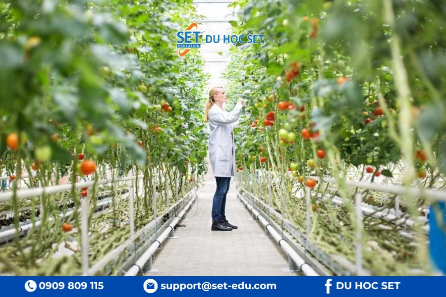 Úc đào tạo kỹ sư nông nghiệp với môi trường học tập hiện đại gắn liền thực tiễn