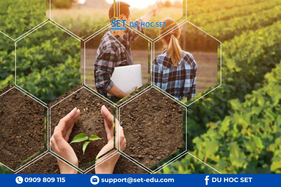 Du học ngành kỹ sư nông nghiệp tại Úc yêu cầu đầu vào khá cạnh tranh