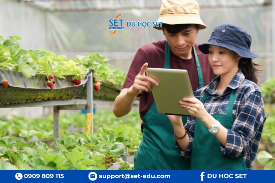 Kỹ sư nông nghiệp là gì? Lộ trình, chi phí du học tại Úc cho người mới 2026