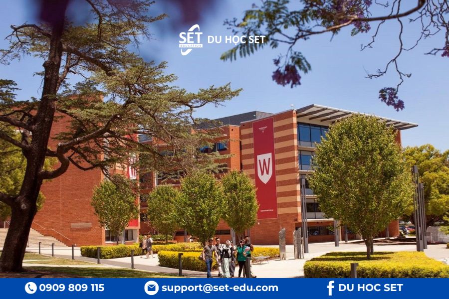 Chuyển tiếp lên năm 2 đại học dễ dàng với lộ trình đảm bảo từ Navitas