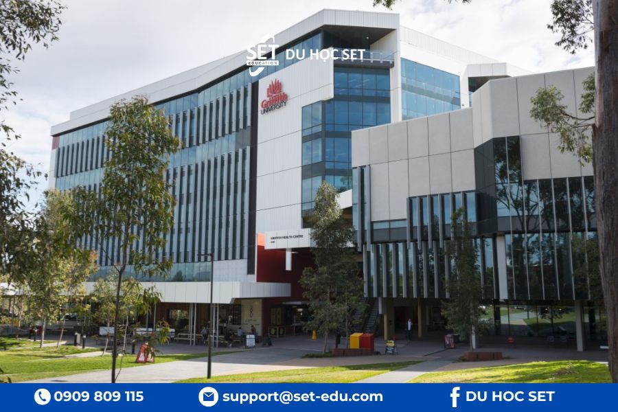 Đại học Griffith cung cấp đào tạo dược chất lượng cao gắn với thực tập lâm sàng